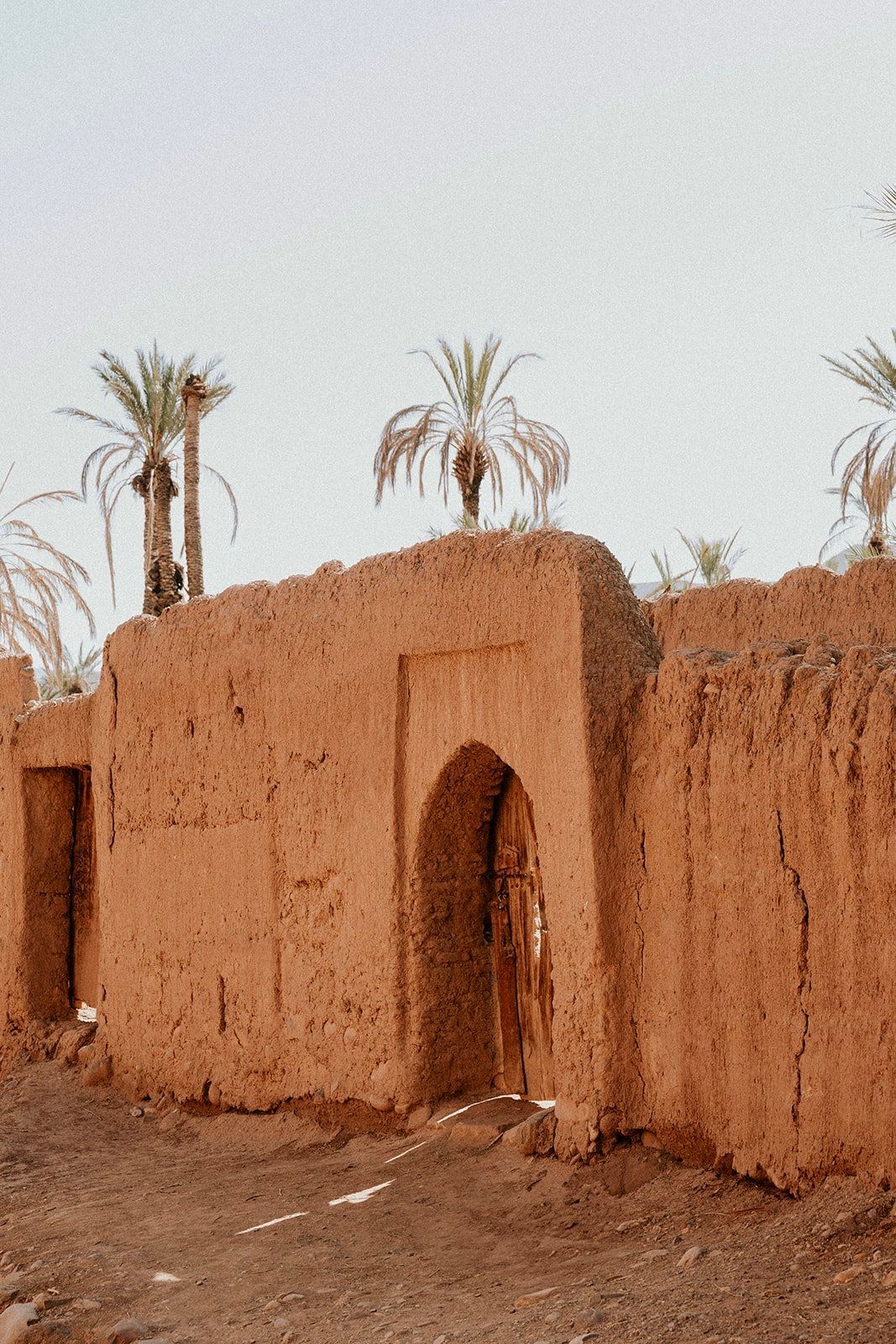 The earthen walls among the date palms