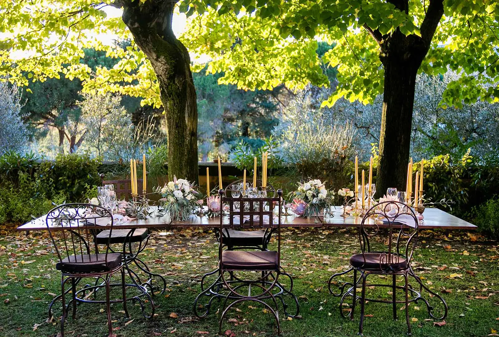 Vows, Pines and a Michelin Table.