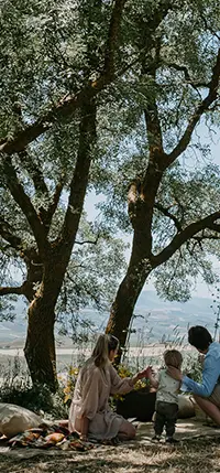 A family beneath the olive trees in the grounds