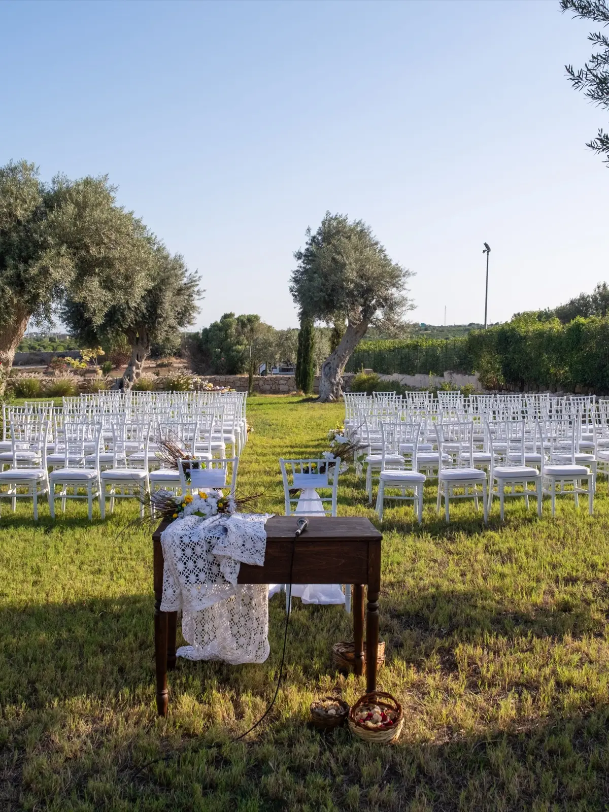 A ceremony laid out on the lawn, rows of white chairs beneath an olive tree