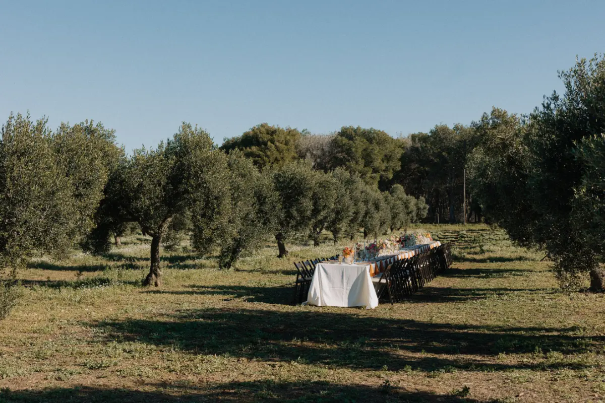 A Feast Set in the Olive Grove.
