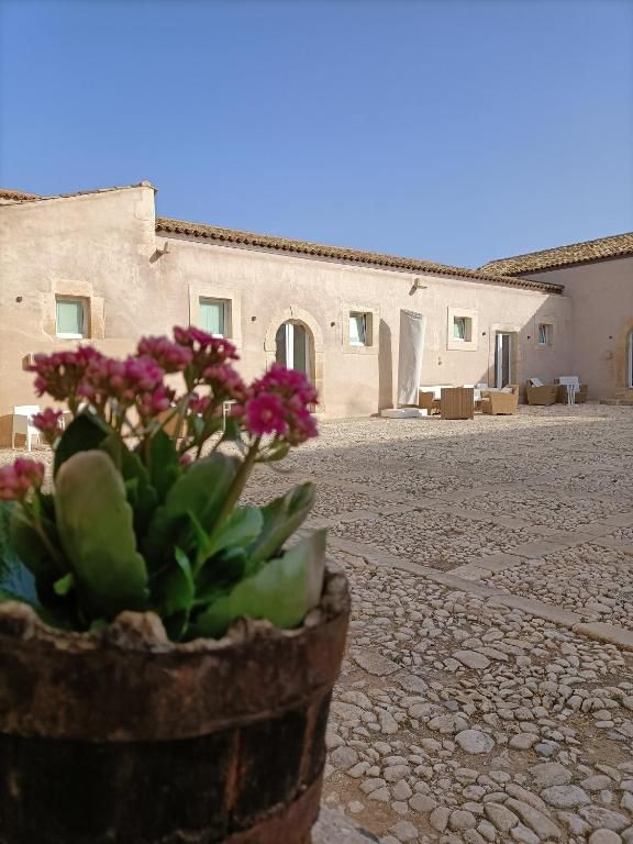 A flowering cactus in a terracotta pot, the baglio behind