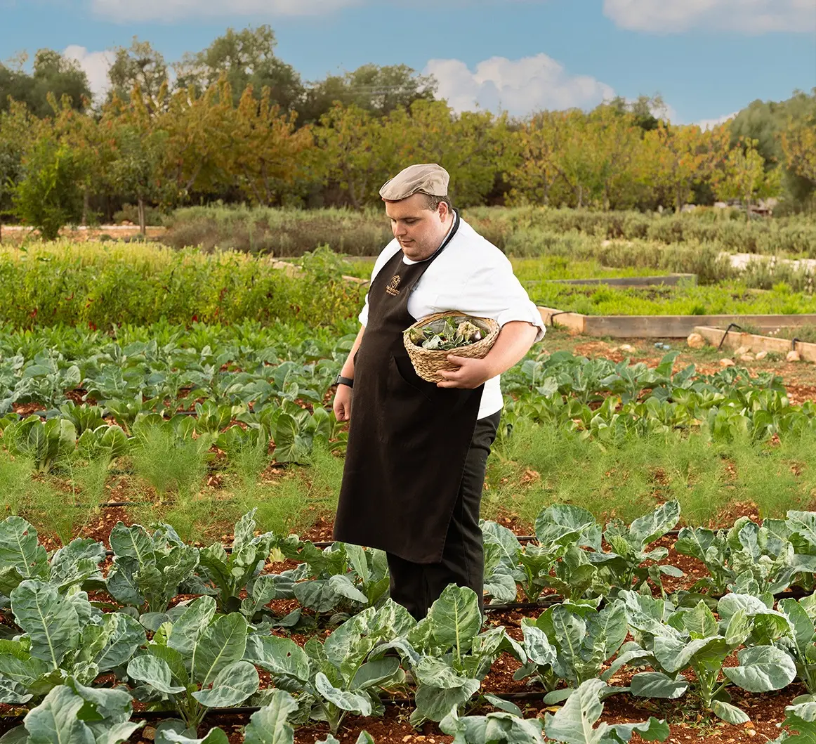 A Chef Who Walks the Garden Each Morning.