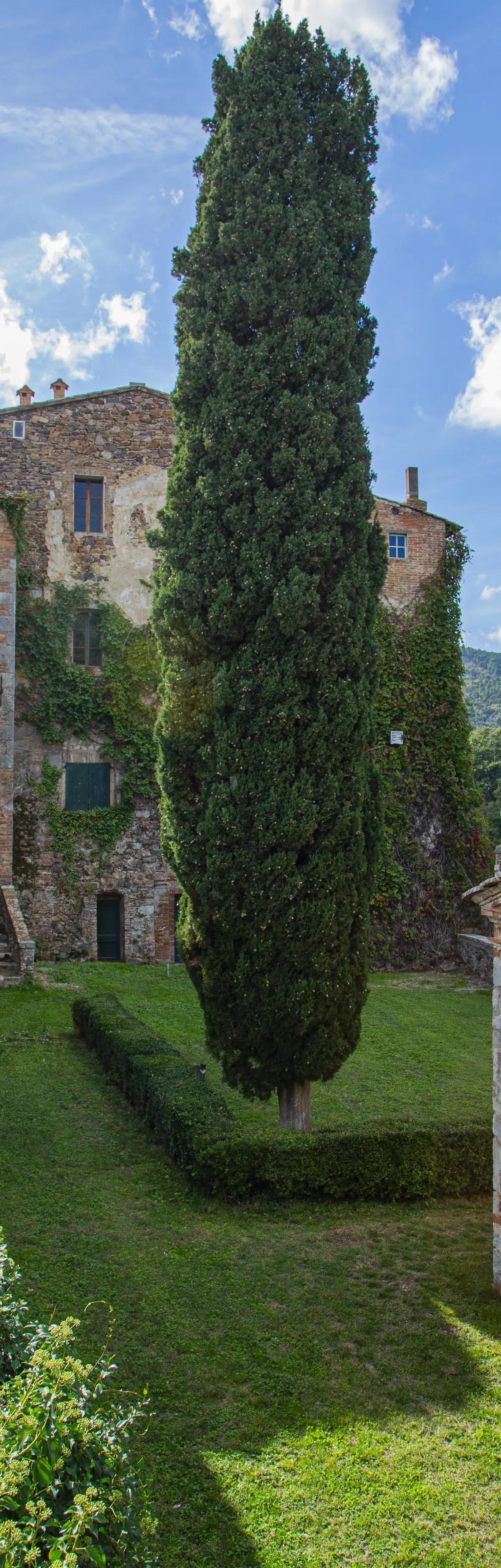 The Guesthouse