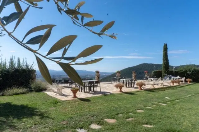 A Hill Town, an Olive Grove, a View.