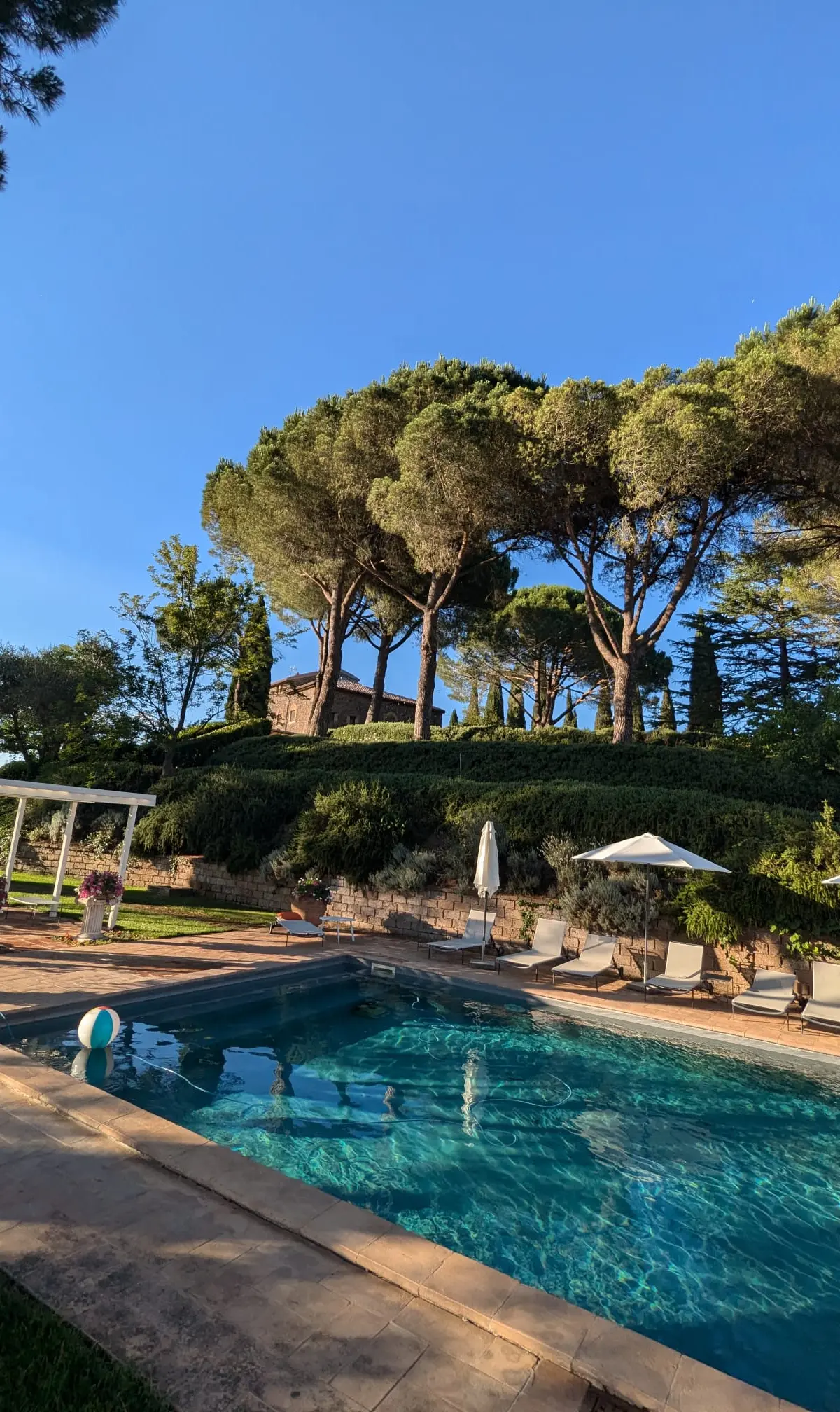 The outdoor pool at Torre Collevento above the vineyards