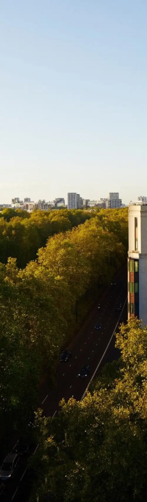 The Dorchester