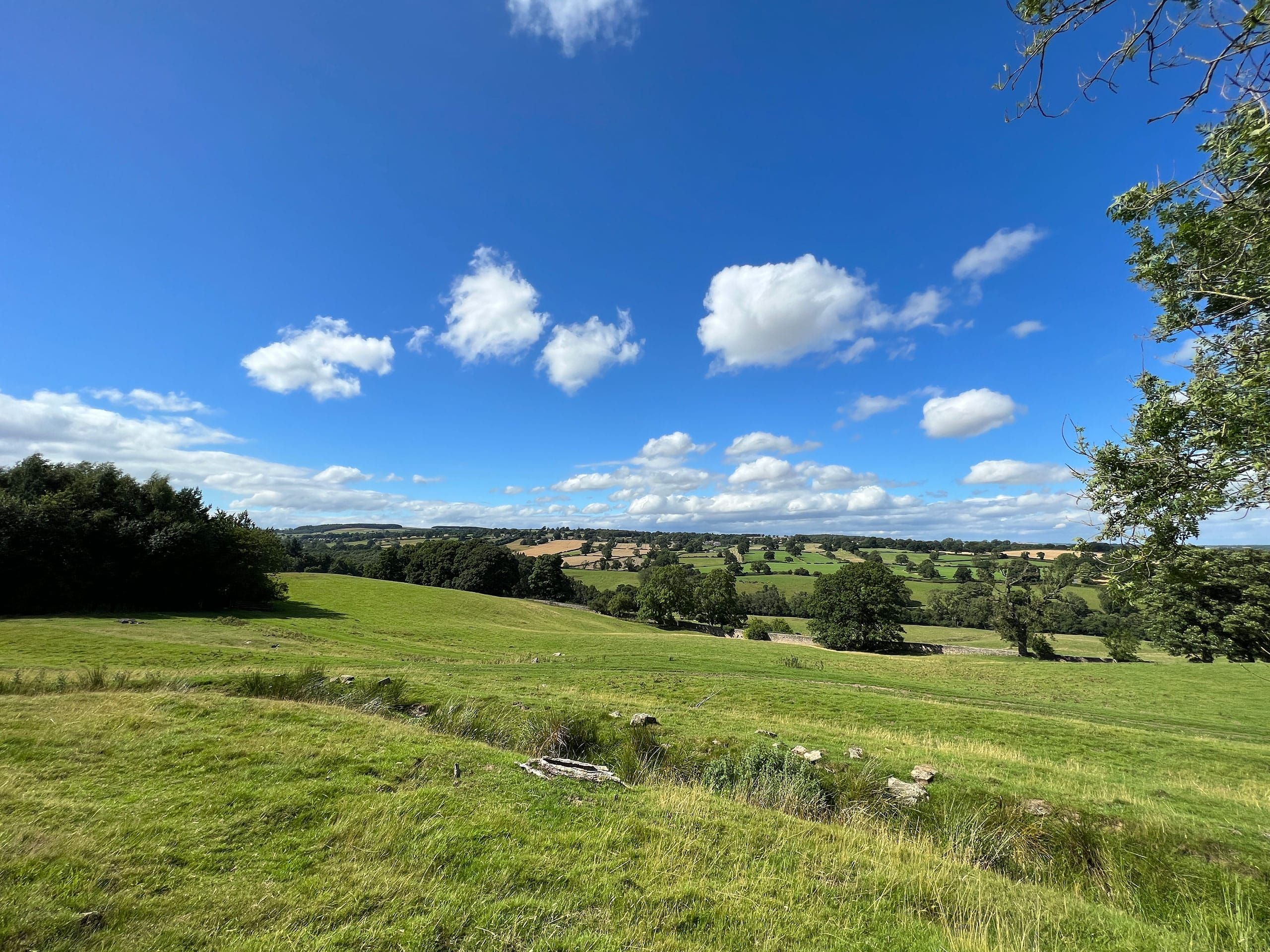 The parkland and Yorkshire Dales countryside of the estate under a summer sky