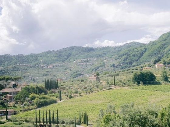 The Hills of Lucca