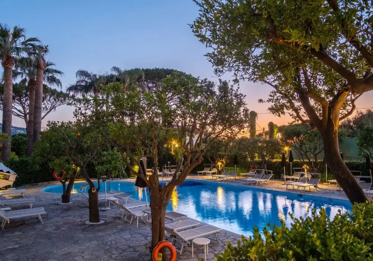 The pool and gardens at dusk at Hotel Alpha, palm trees at the water's edge