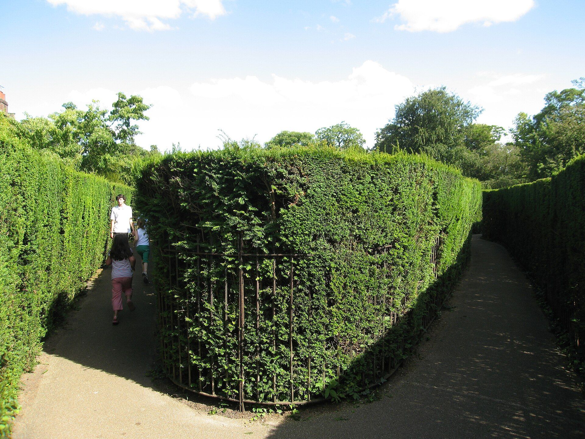 The palace's celebrated hedge maze, a visitor deep in its clipped yew corridors