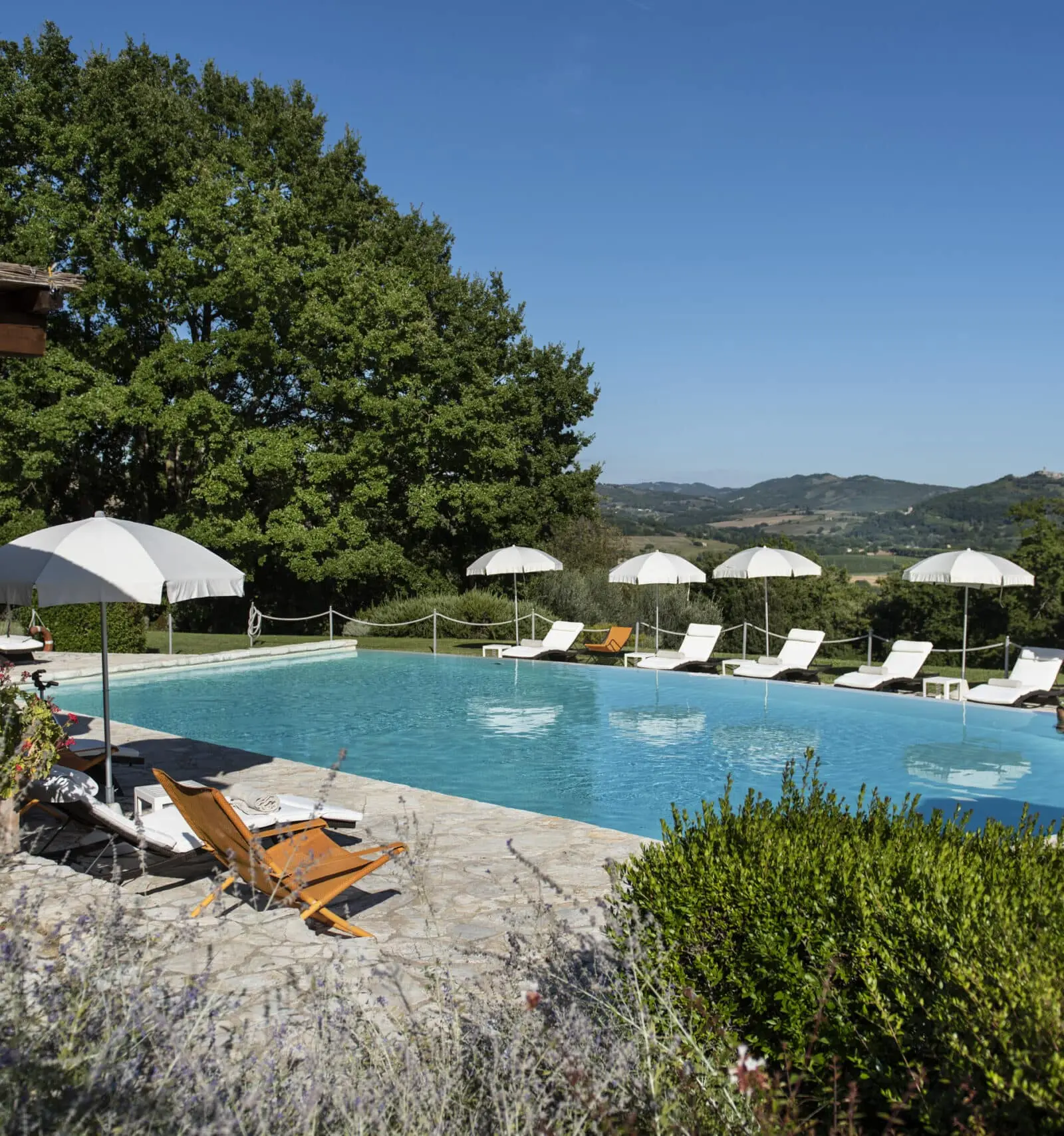 590 Hectares of Umbrian Nature Reserve.