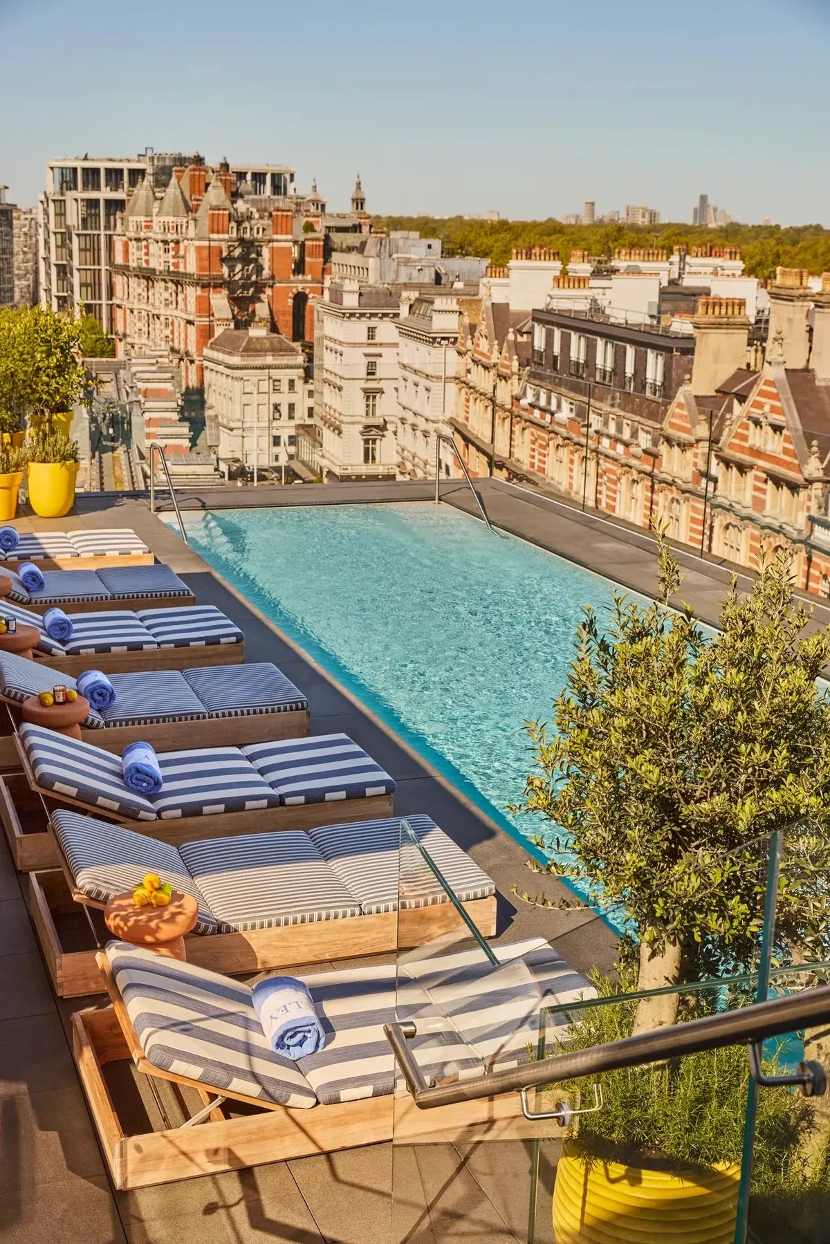The Rooftop Pool