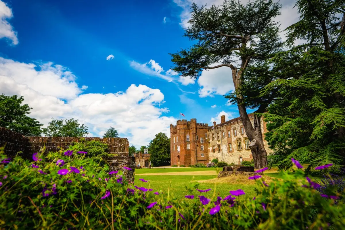 The castle rising above the Great Lawn, wildflowers scattered in the summer grass, Farnham Castle, Farnham, England