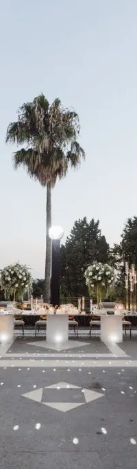 The palazzo courtyard reception beneath a palm tree