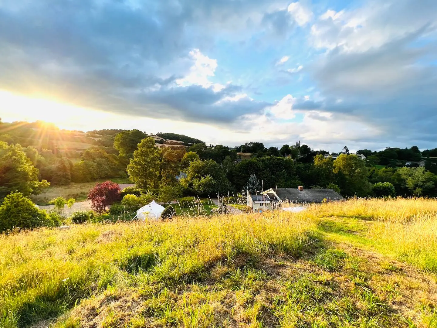 Gypsy Caravans, Hot Tubs and a Zebra or Two.