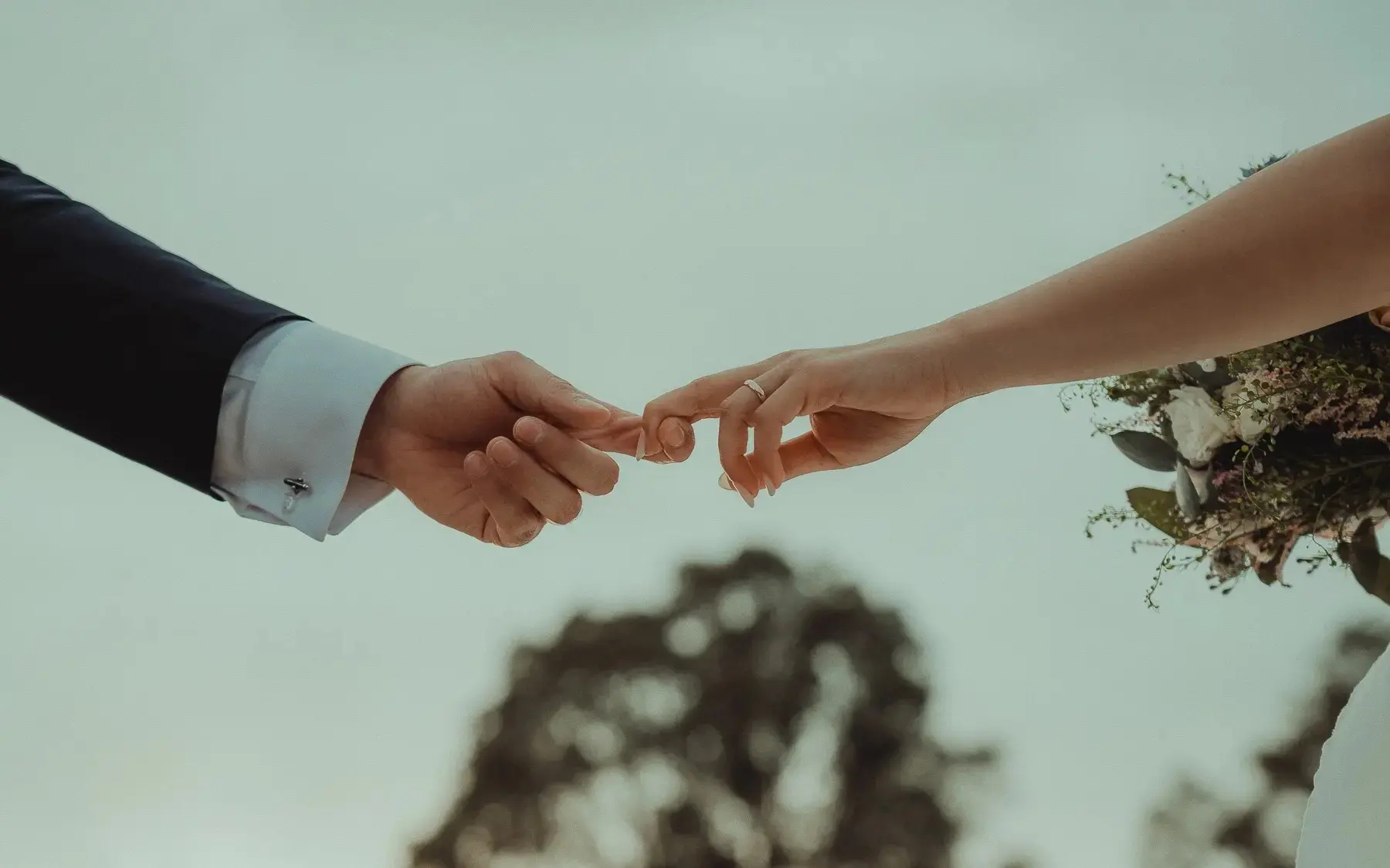 Giuseppe Suma
Weddings