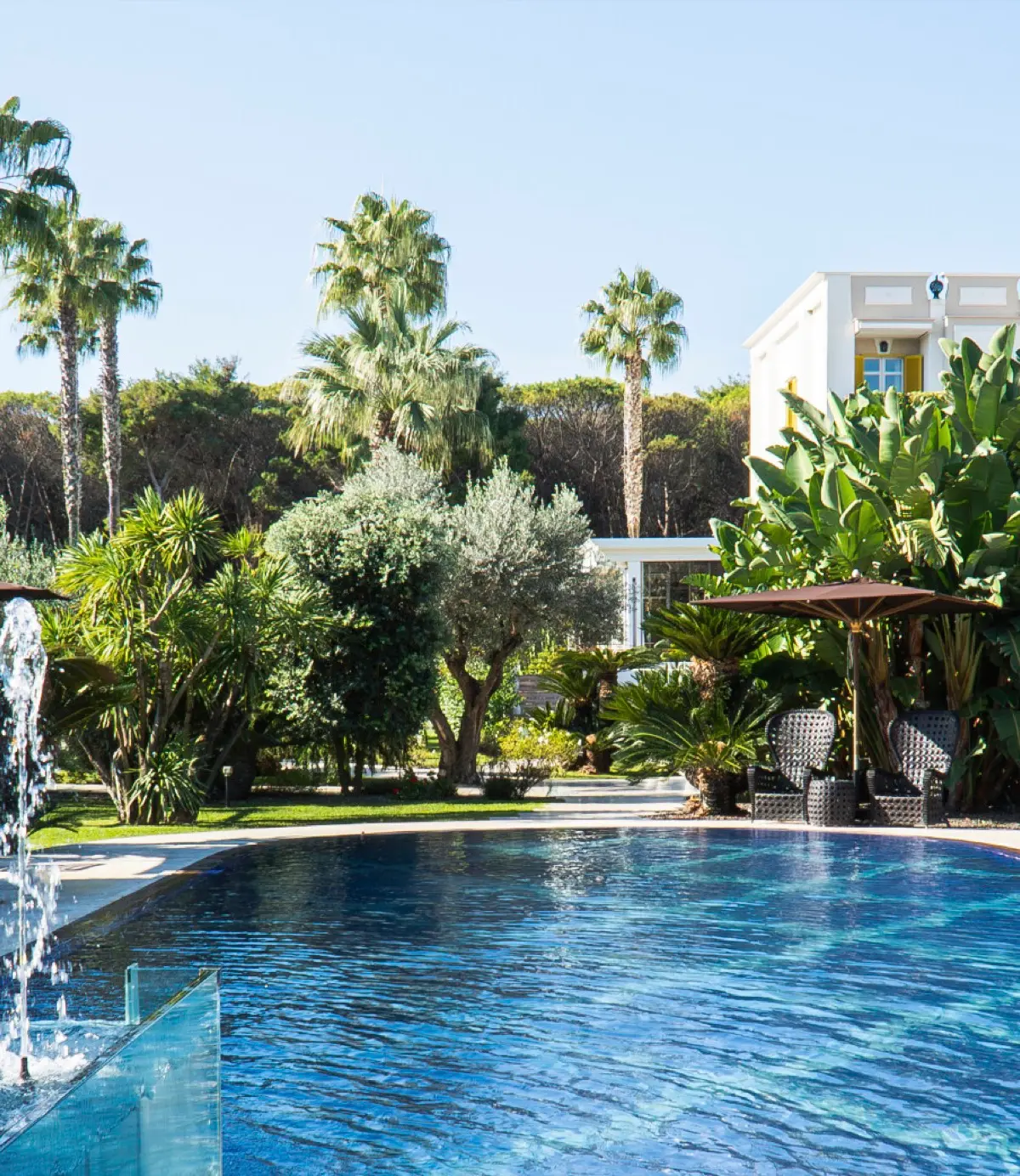 The pool and fountains, framed by palms