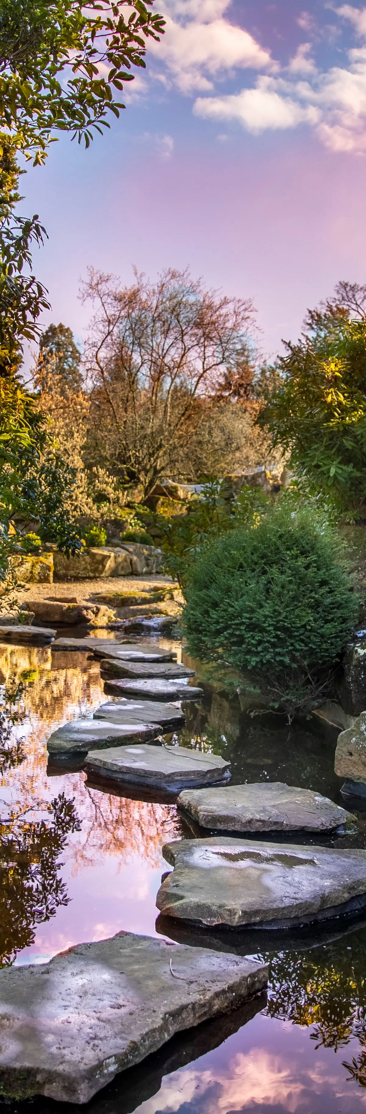 The Japanese Garden at Grantley Hall