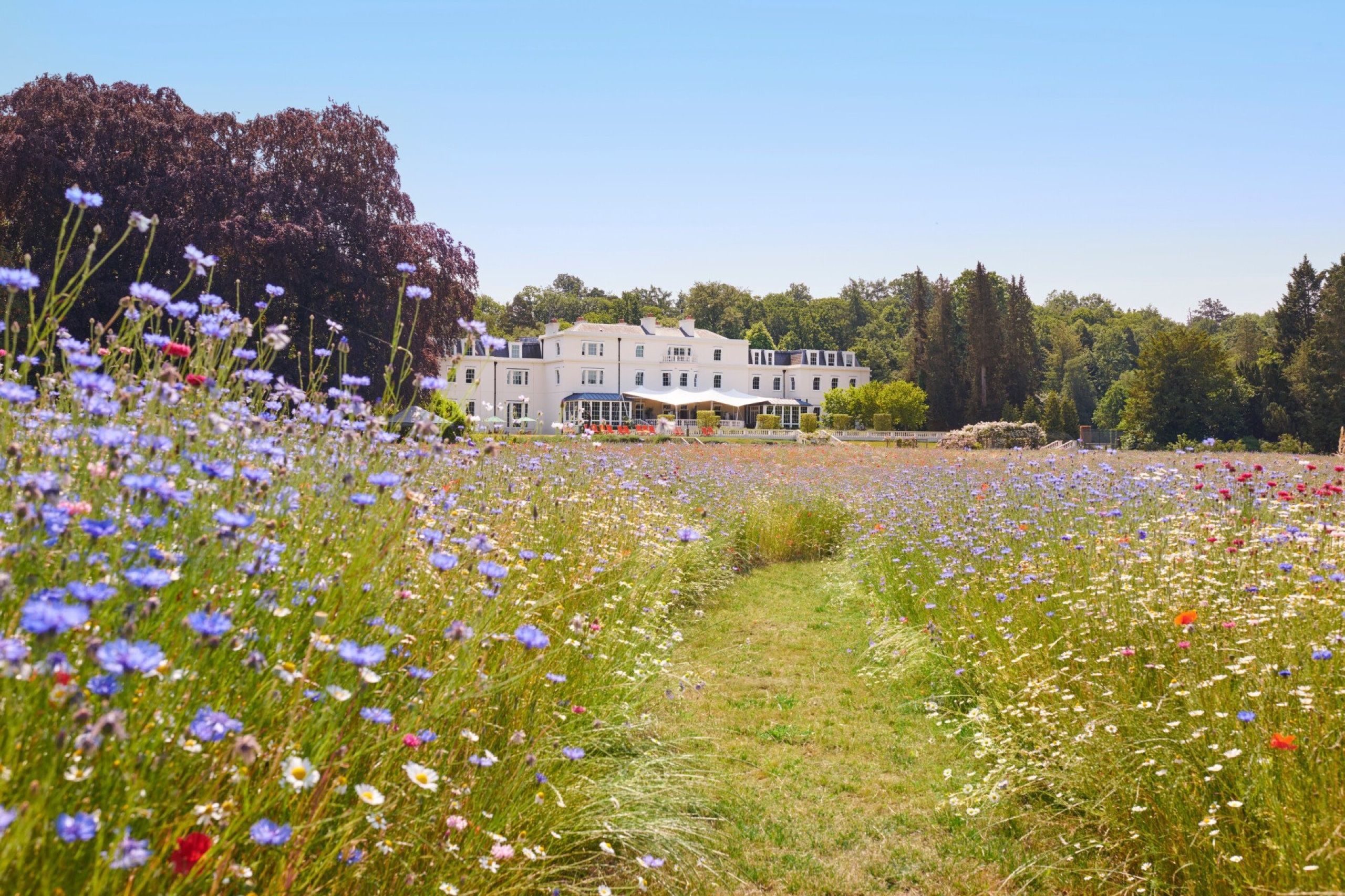 Welcome to Natural Luxury