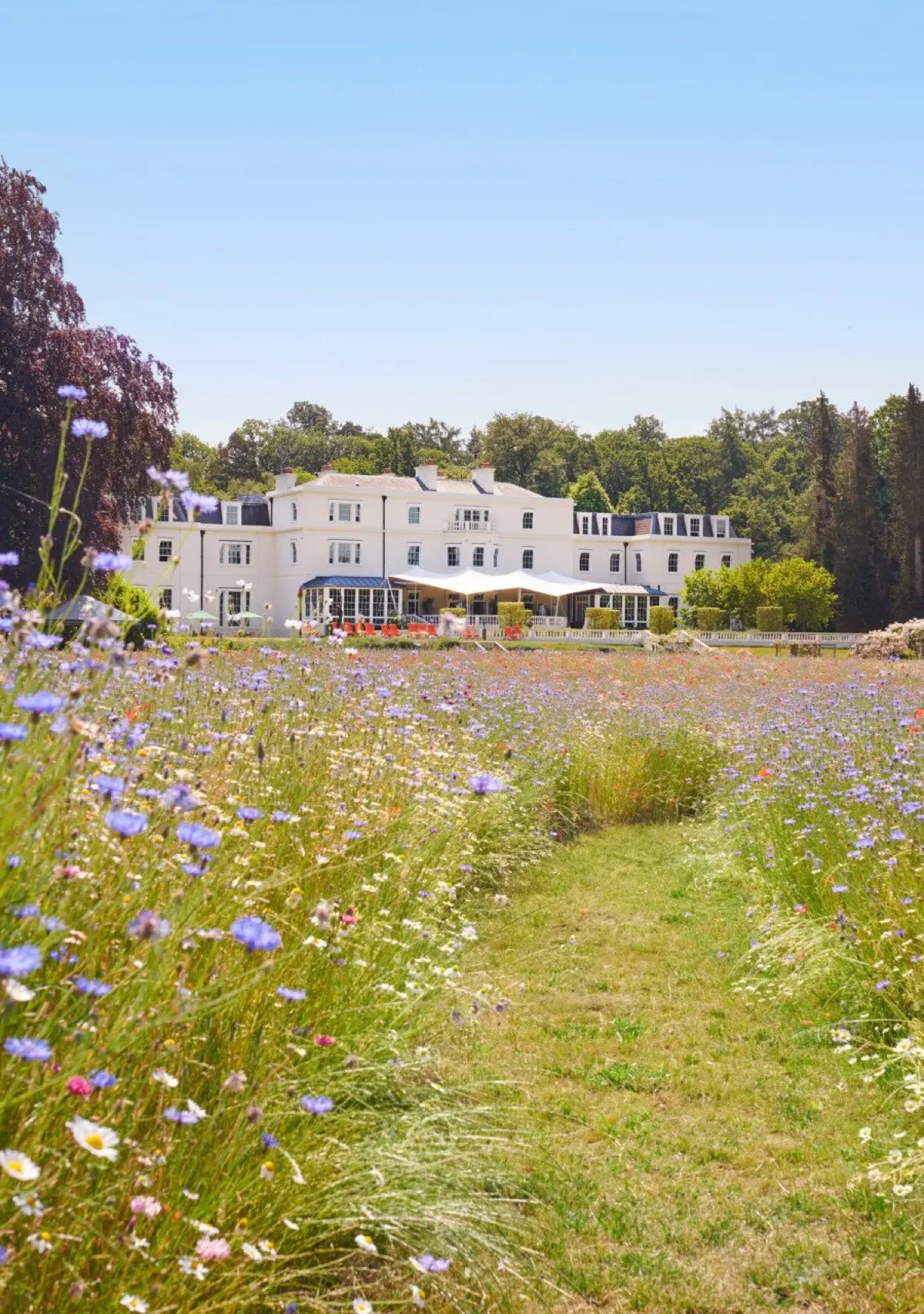 The Mansion House Across the Wildflower Meadow, Coworth Park, Ascot, England