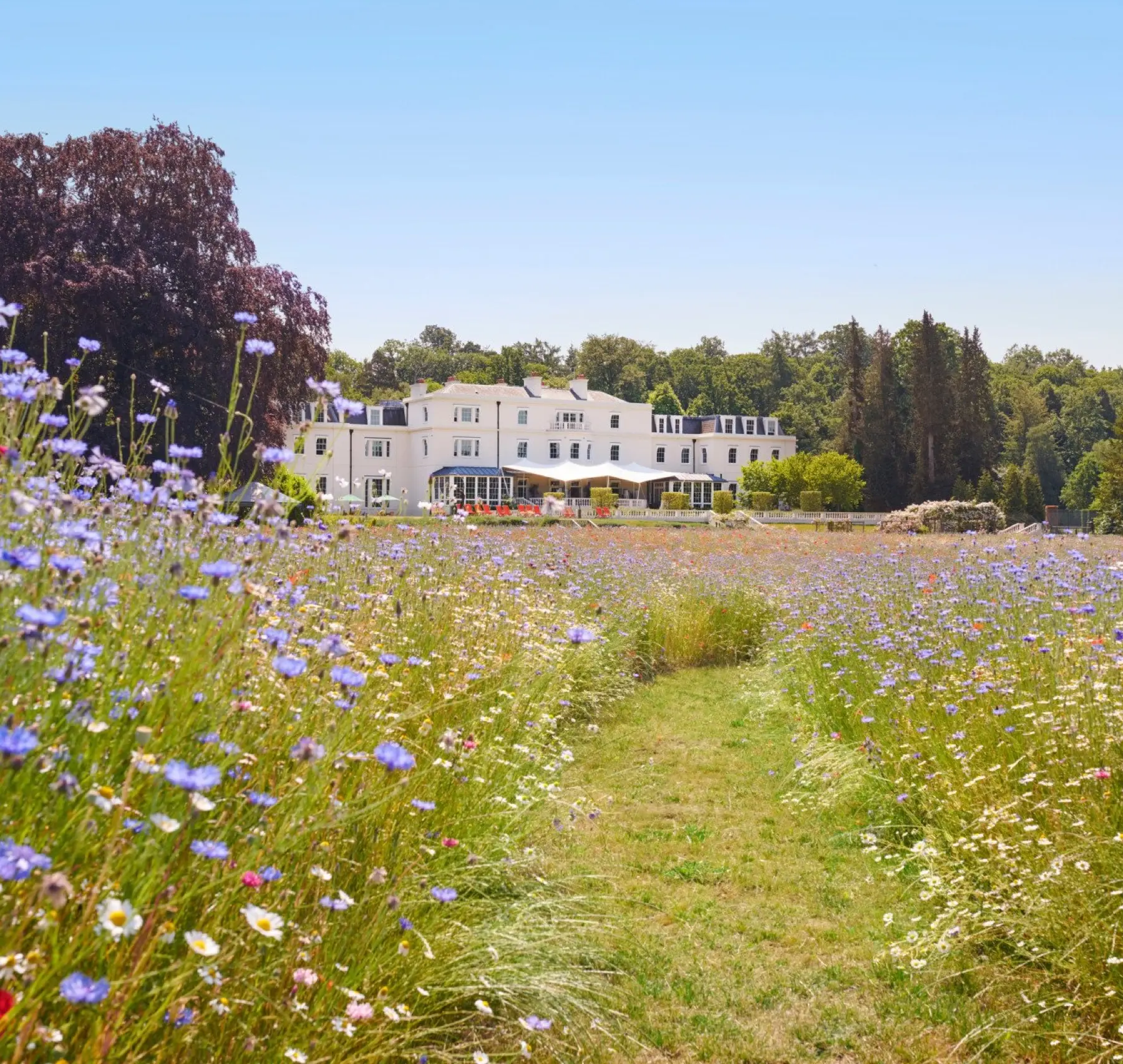 Coworth Park