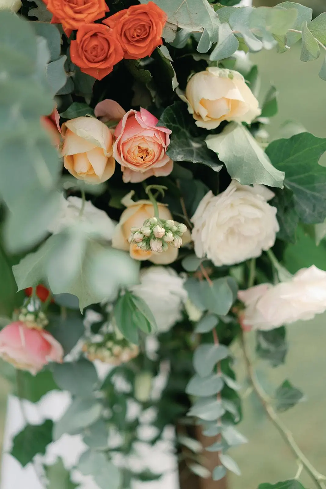 Roses, ranunculus and eucalyptus on a wedding ceremony arch