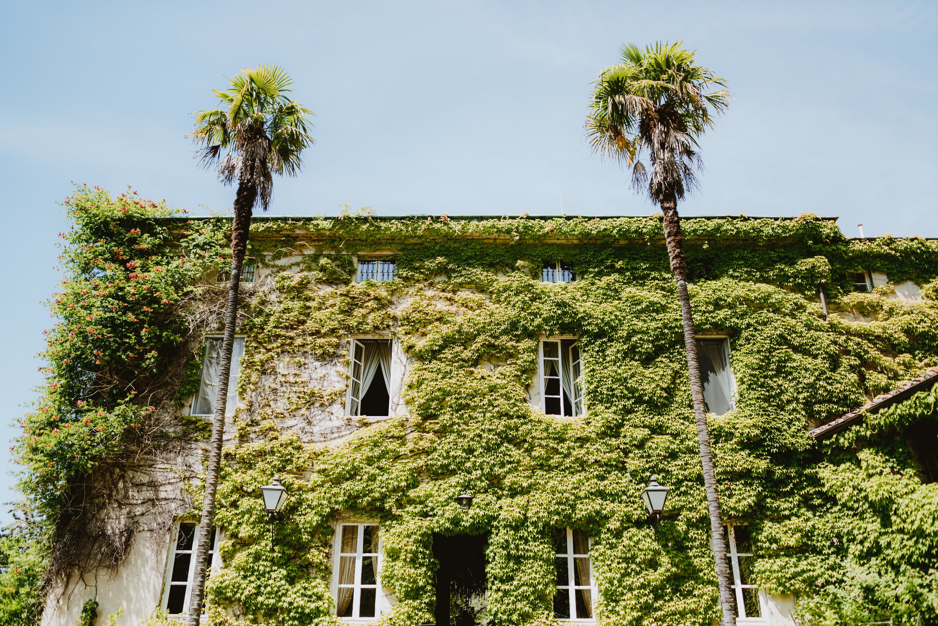 The ivy-clad villa facade with palm trees, Villa Michaela, Lucca, Italy