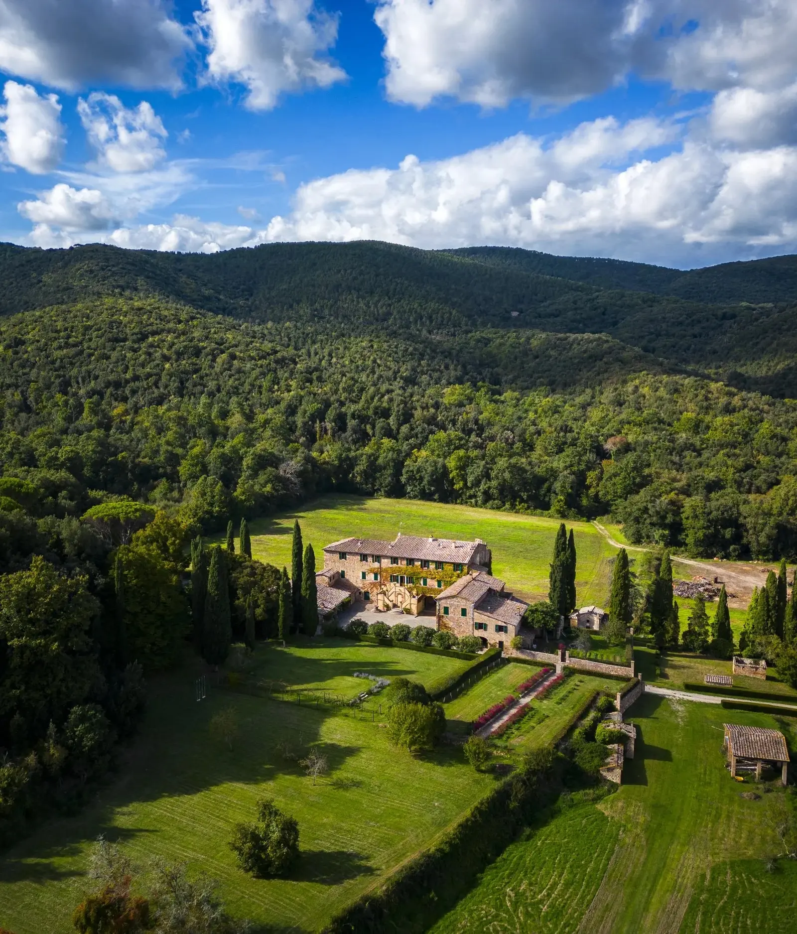 Cypresses, Olives and Wooded Hills.