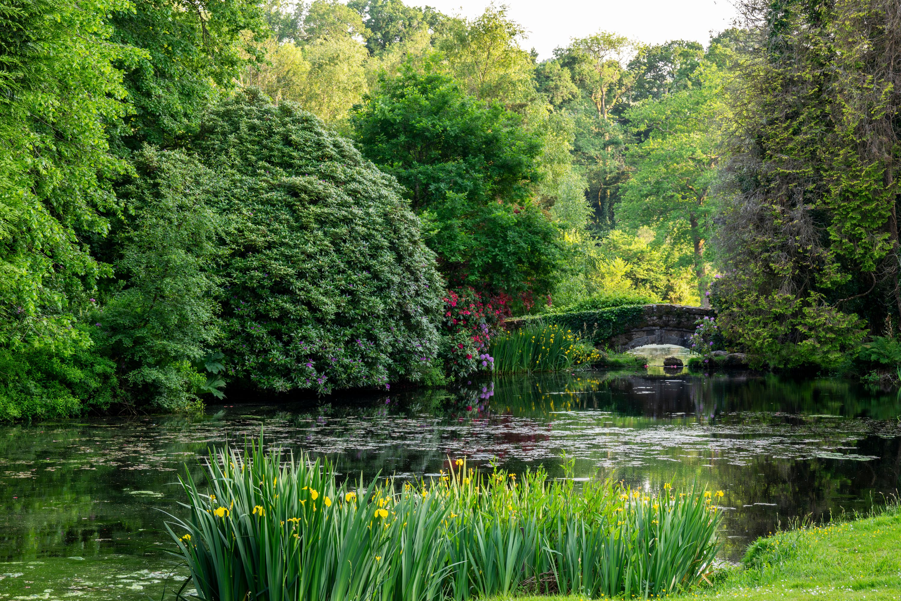 The Grounds and Pond, Bovey Castle, North Bovey, England