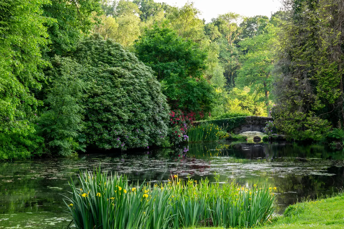 The Grounds and Pond, Bovey Castle, North Bovey, England