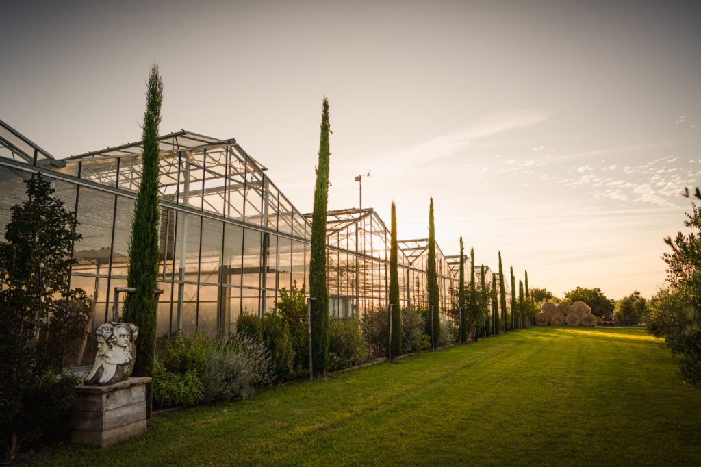 A glass greenhouse with a cypress avenue at sunset