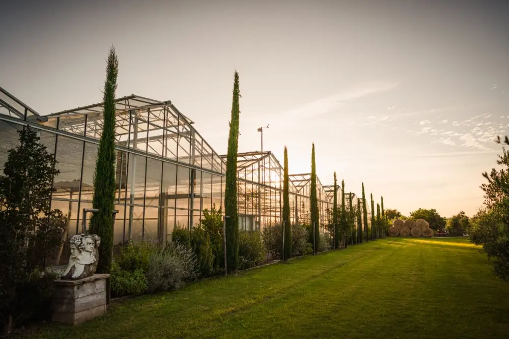 A glass greenhouse with a cypress avenue at sunset