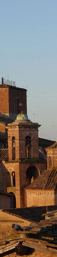 A rooftop panorama over Siena's terracotta roofs to the Torre del Mangia