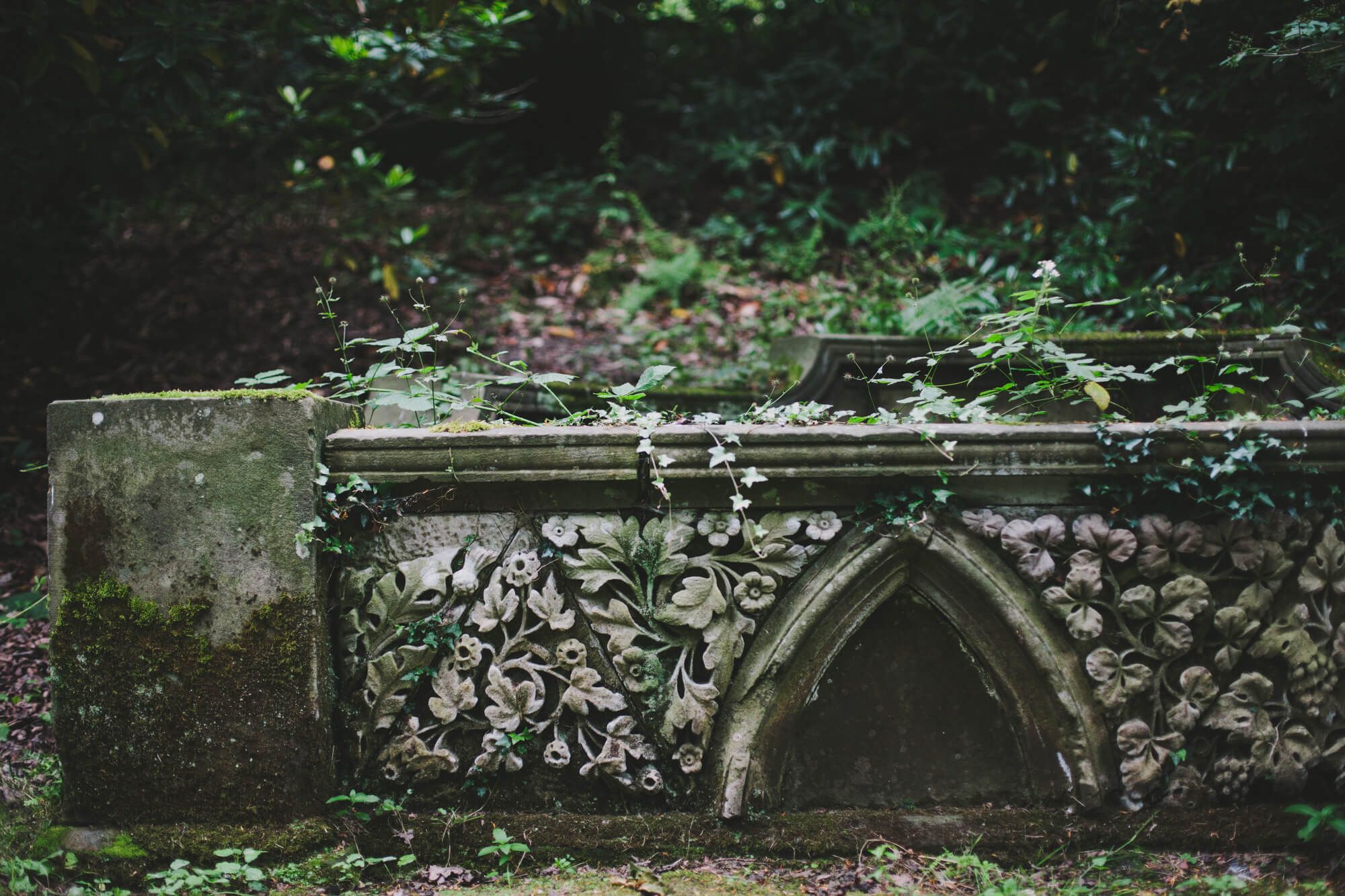 An ivy-covered stone garden feature, weathered and green
