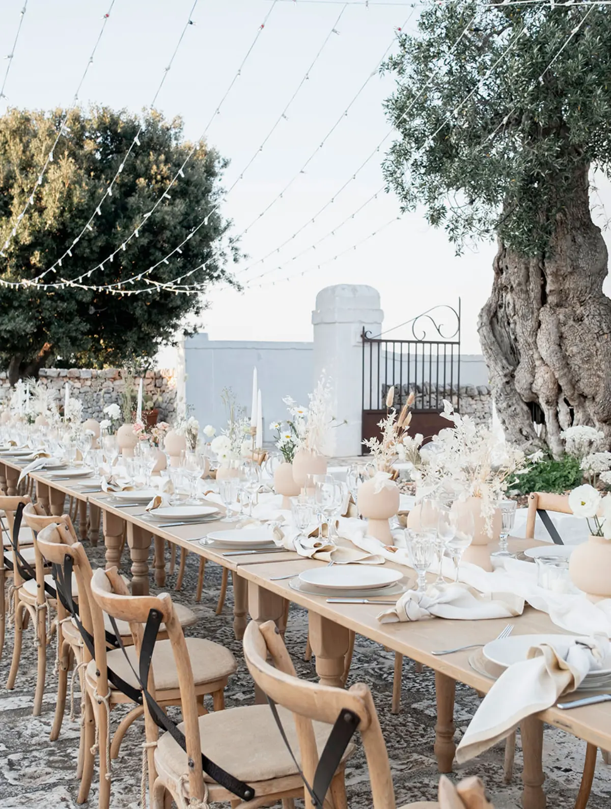 A long table beneath an ancient olive tree in a Puglia masseria courtyard