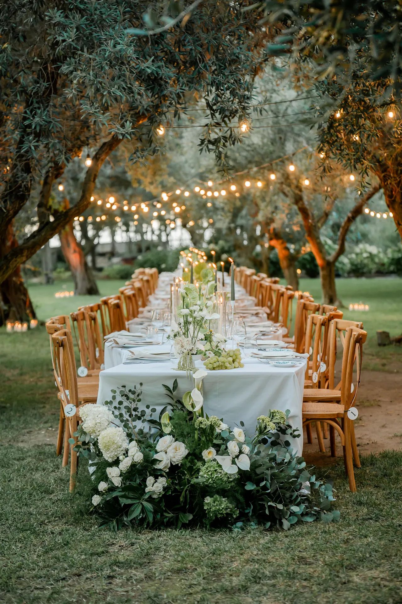 A long table under the olives, festoon lights strung above it