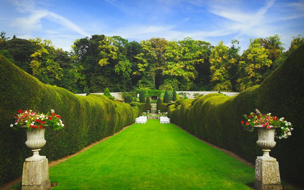 An avenue of clipped topiary and stone urns in the award-winning walled garden