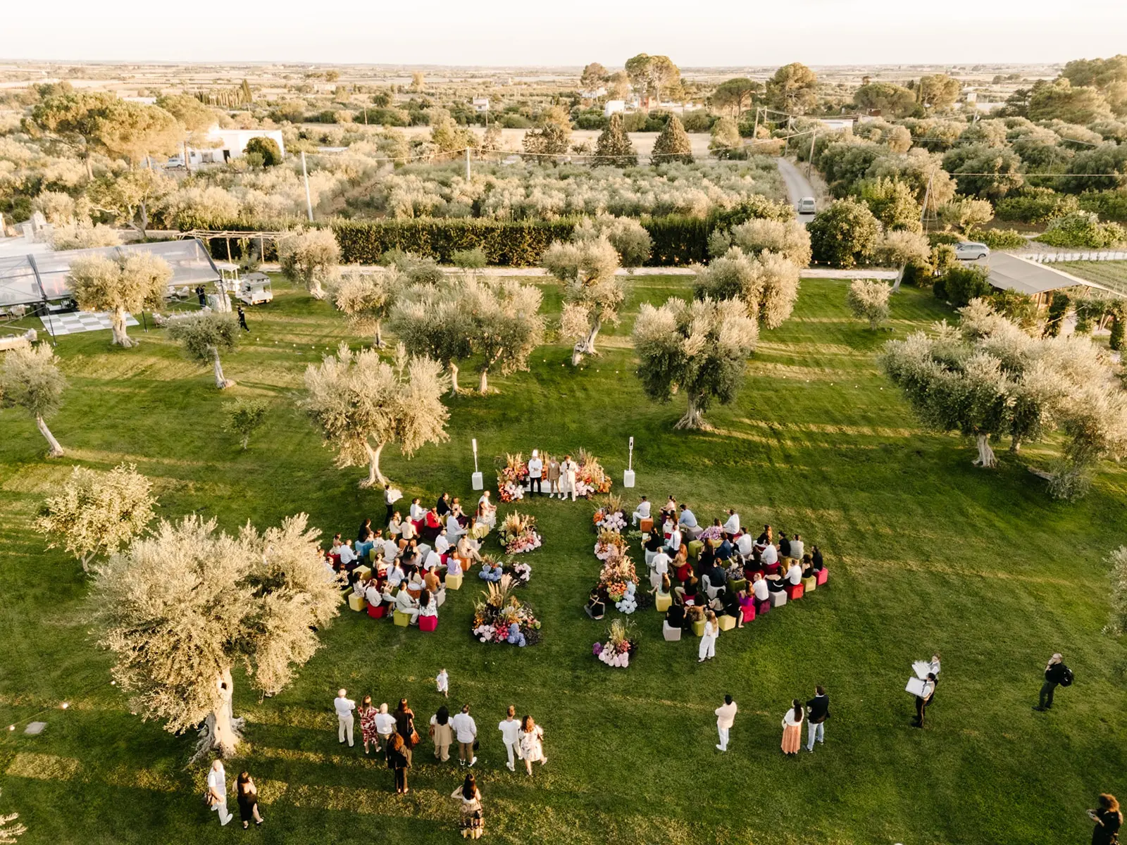 Vows in the Olive Grove, Dinner Under the Lights.