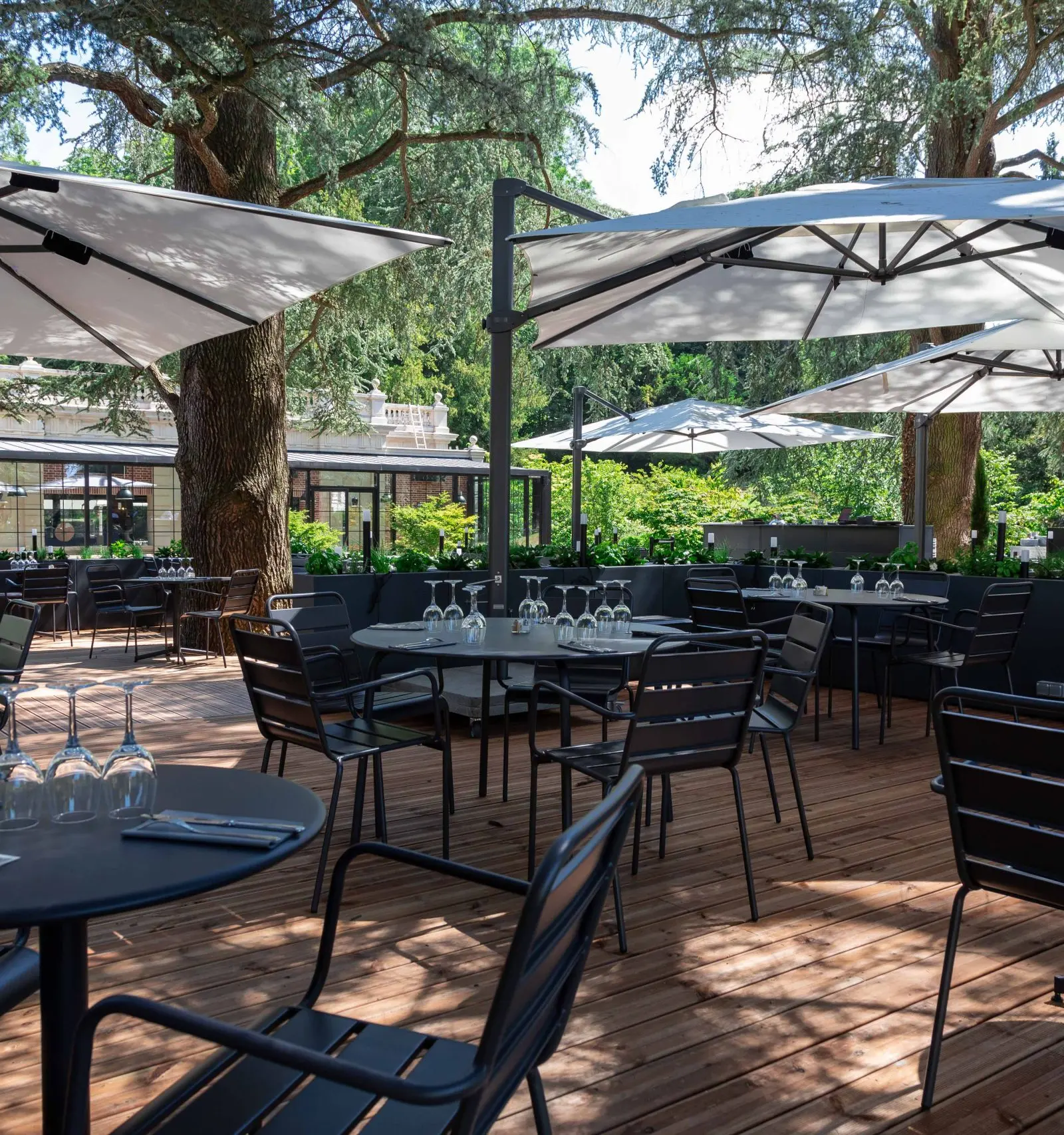 Seasonal French Menus, Staged Across the Estate.