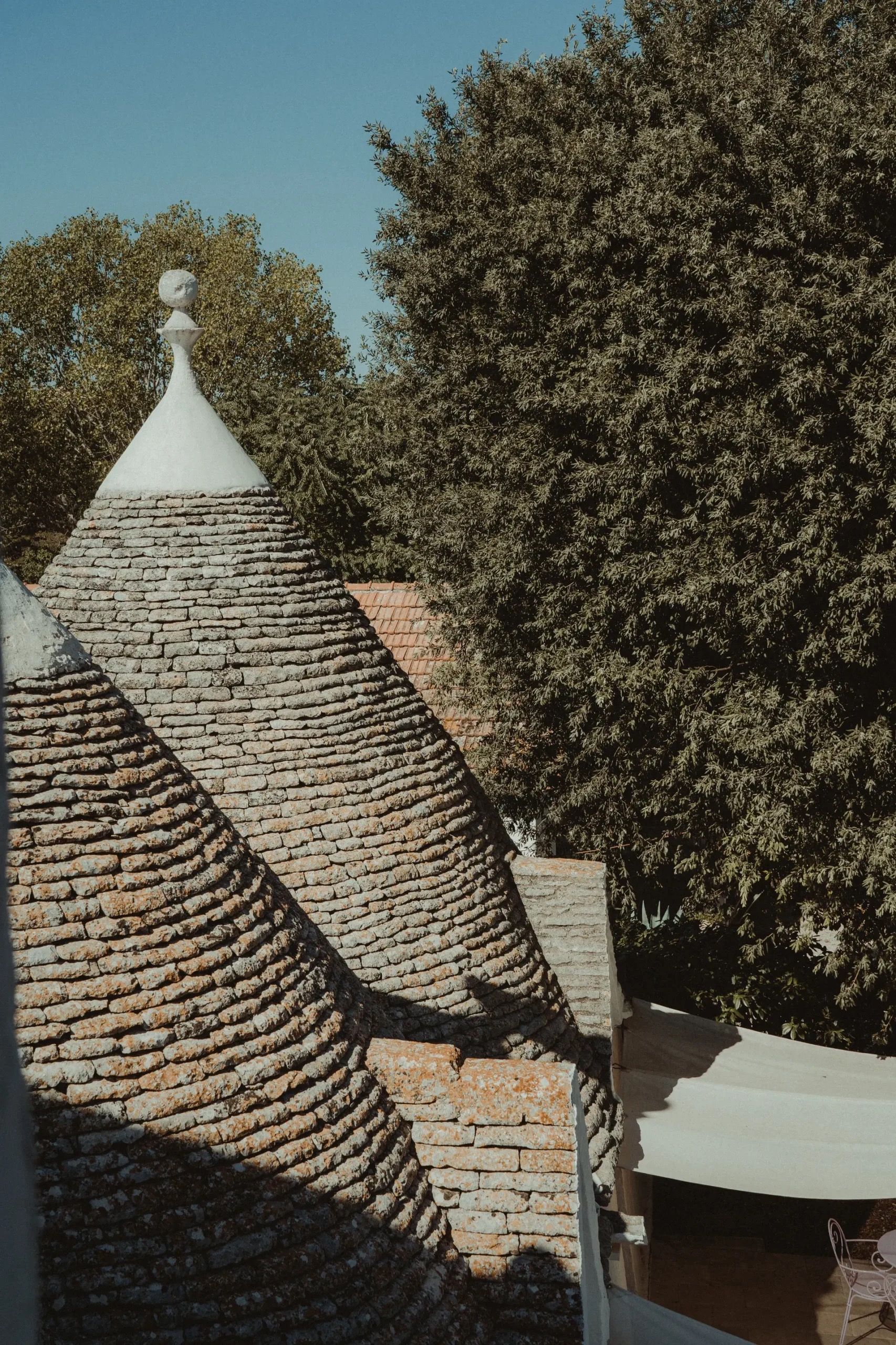 A trullo in the olive groves