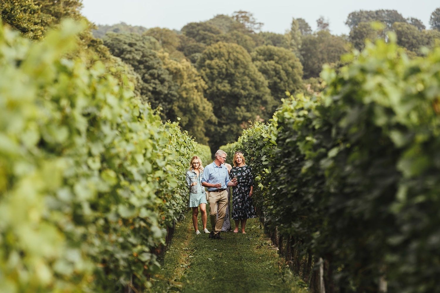 Guests walking between rows of vines in the countryside by the castle