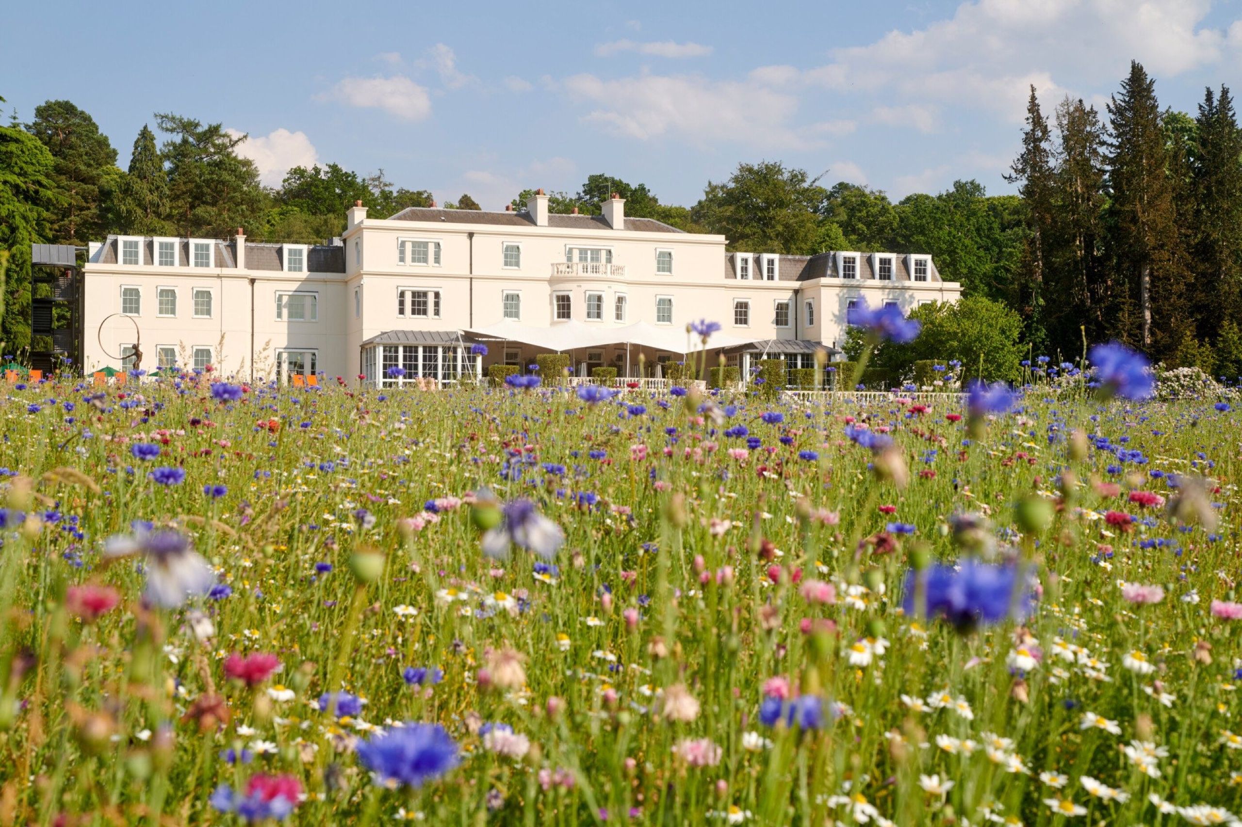 The Wildflower Meadow and the Mansion House, Coworth Park, Ascot, England