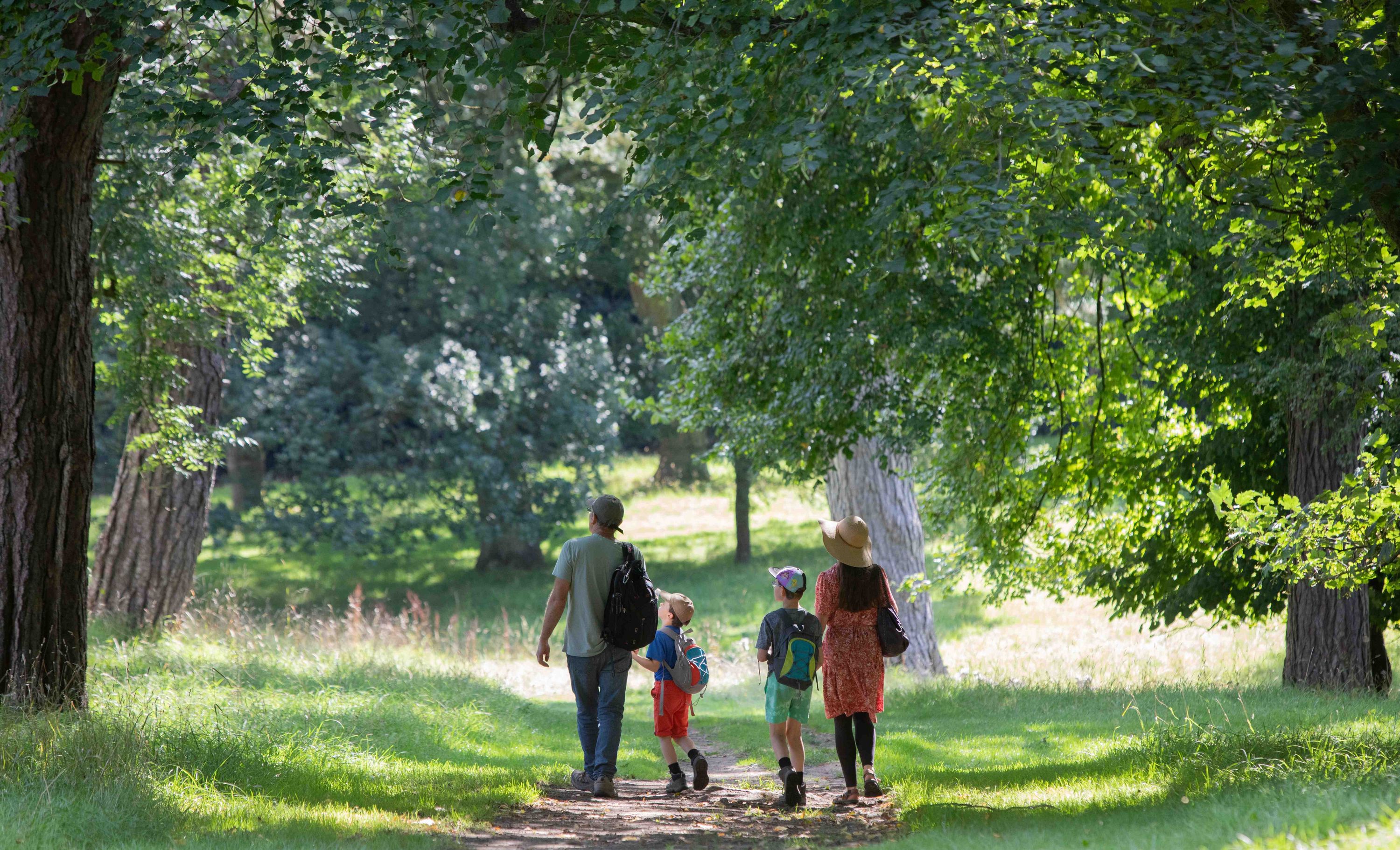 A family walking a wooded path through the Bishop Auckland deer park