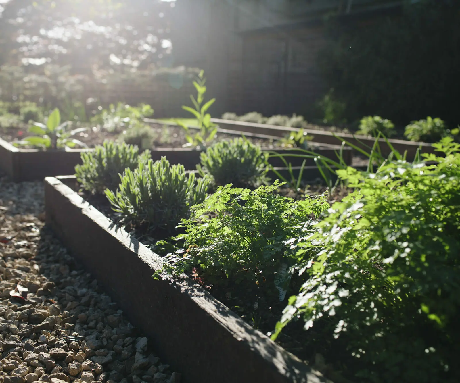 In-House, Seasonal, and Grown on the Estate.