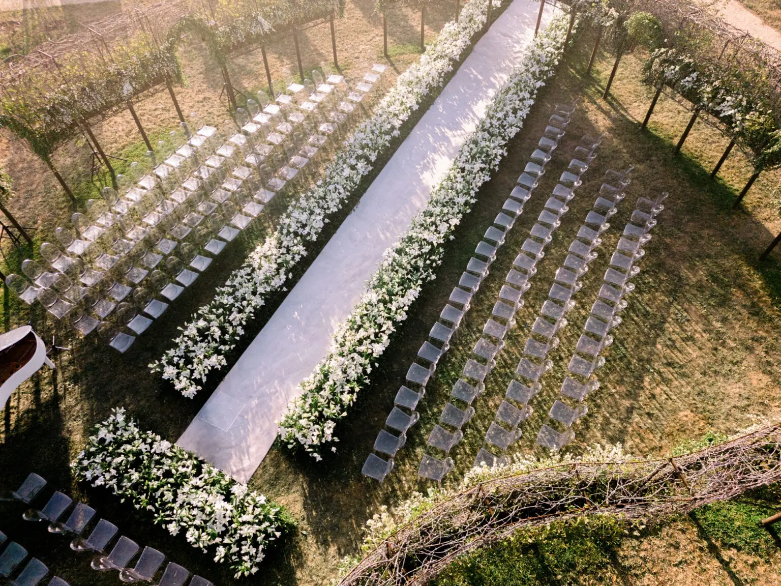 Iris Orangerie