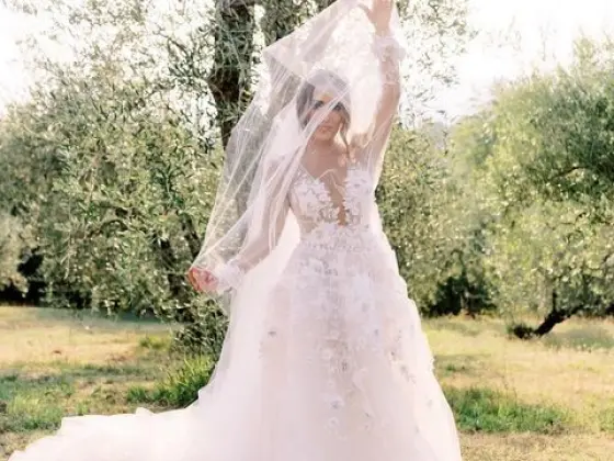 A Bride in the Olive Grove