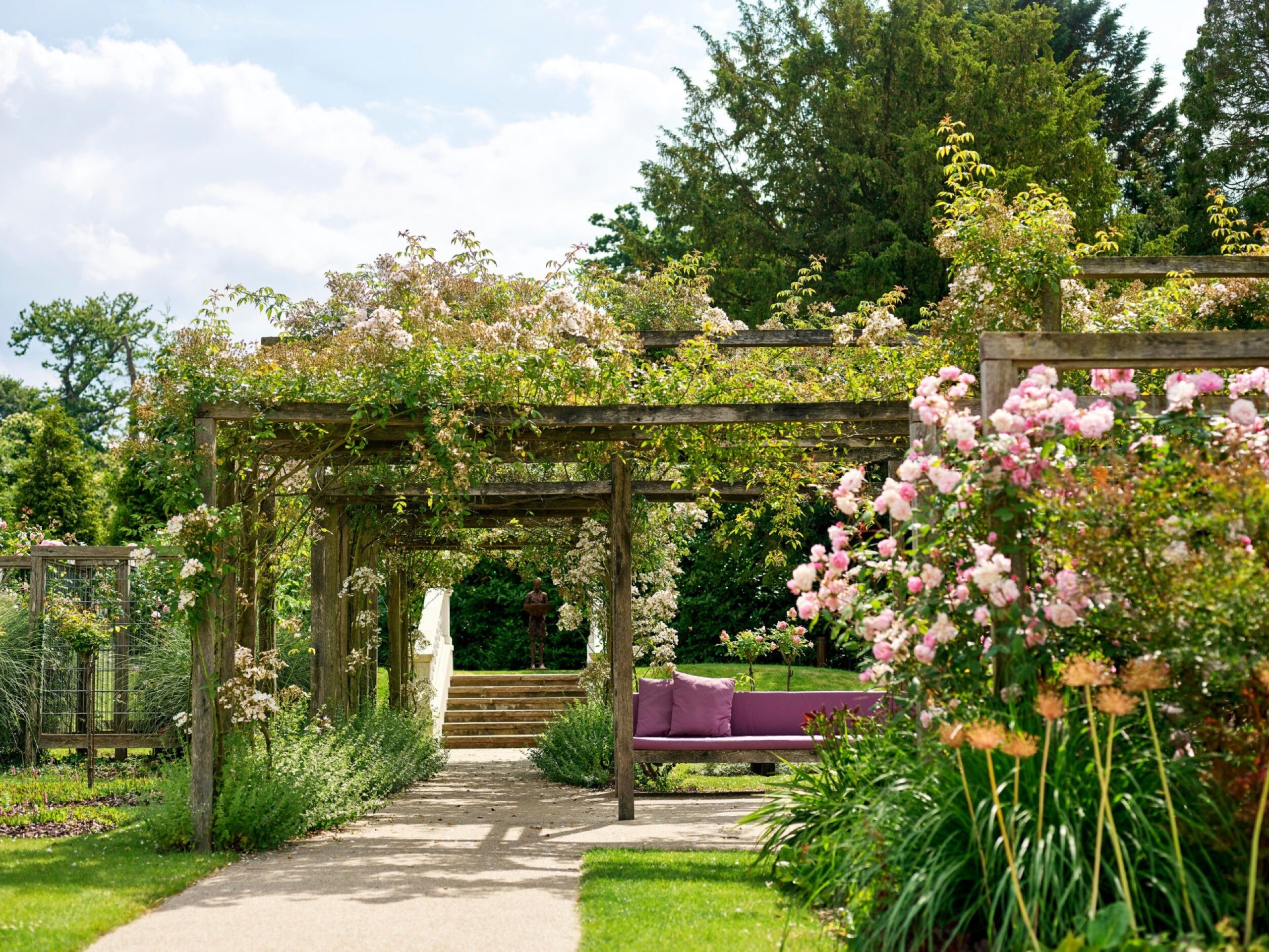 The Rose Garden