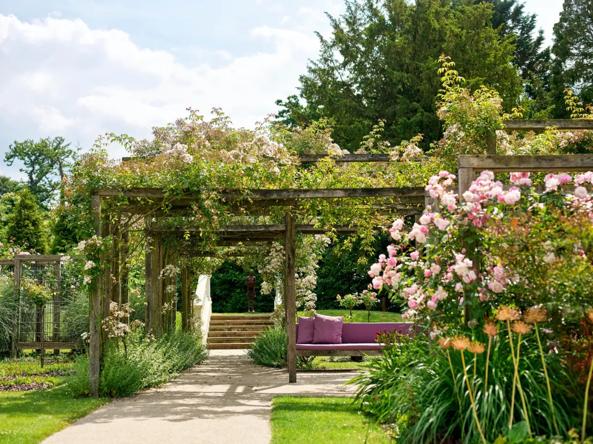 The Rose Garden