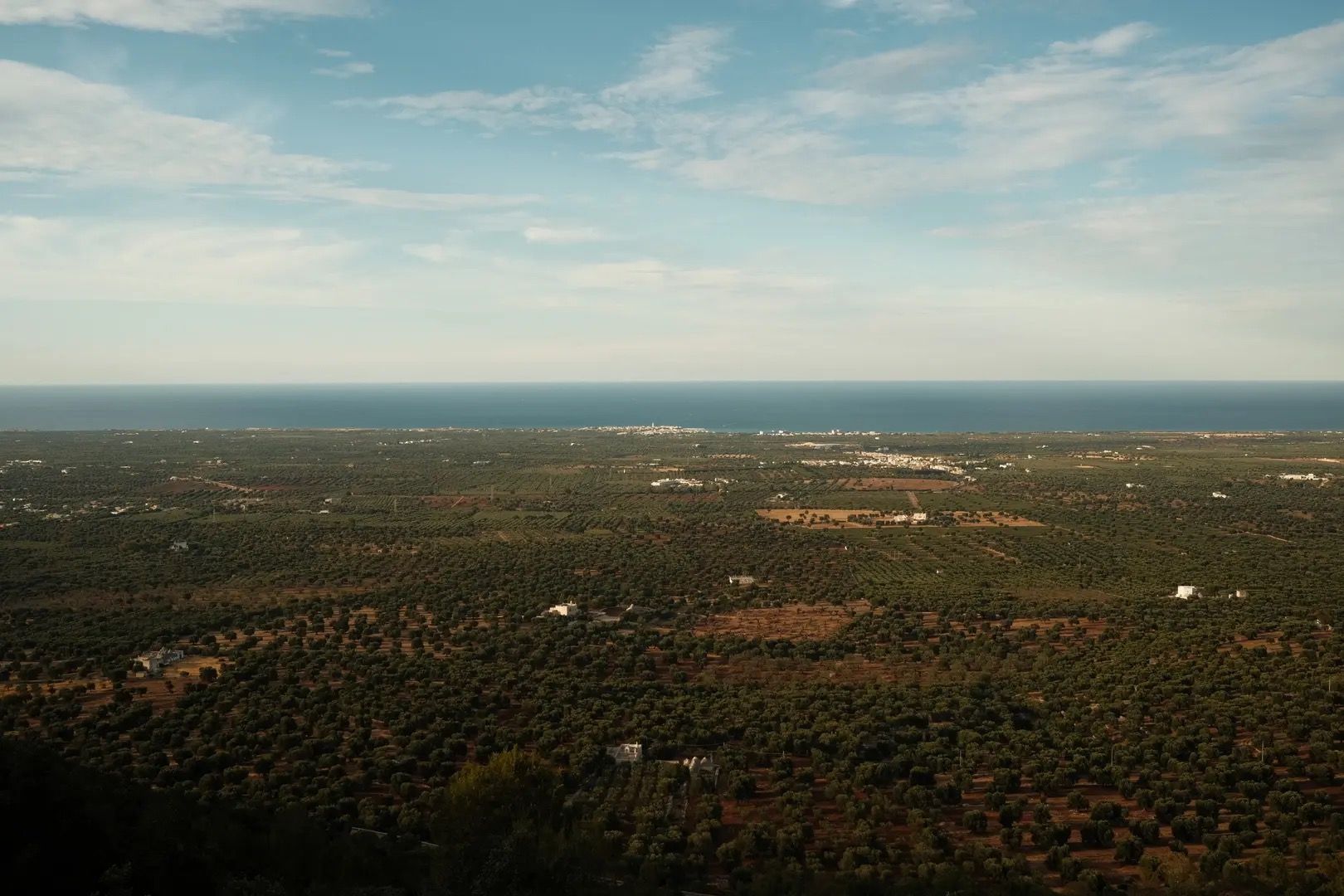 The Puglian countryside from above